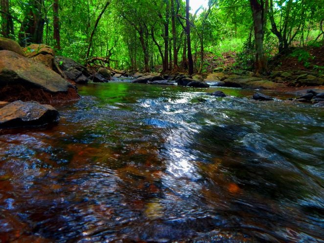 Bondla Wildlife Sanctuary_2_SS